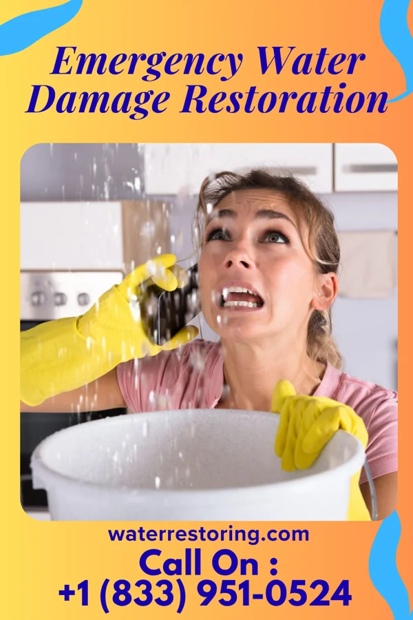 Emergency Water Damage Restoration in Stanley, ID