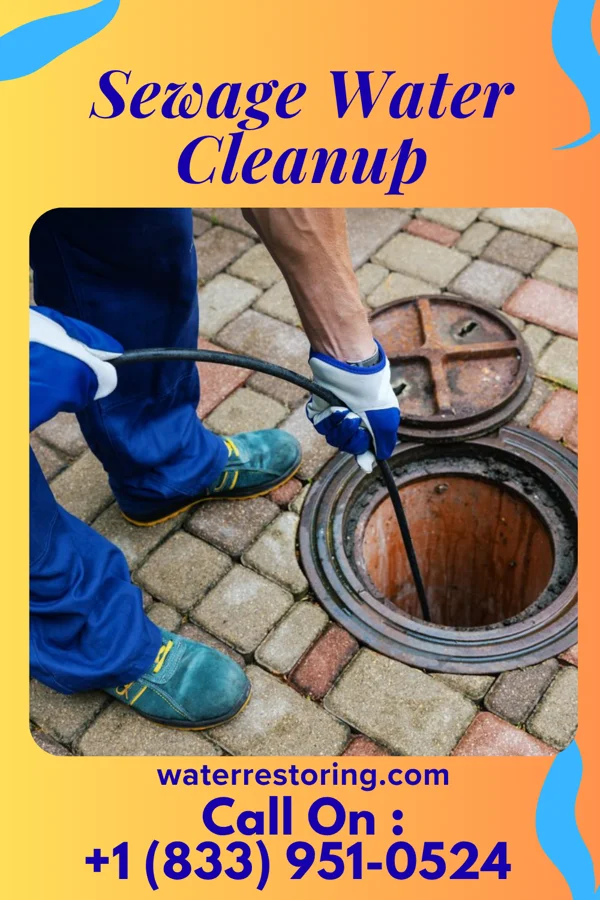 Sewage Water Cleanup in Stanley, ID
