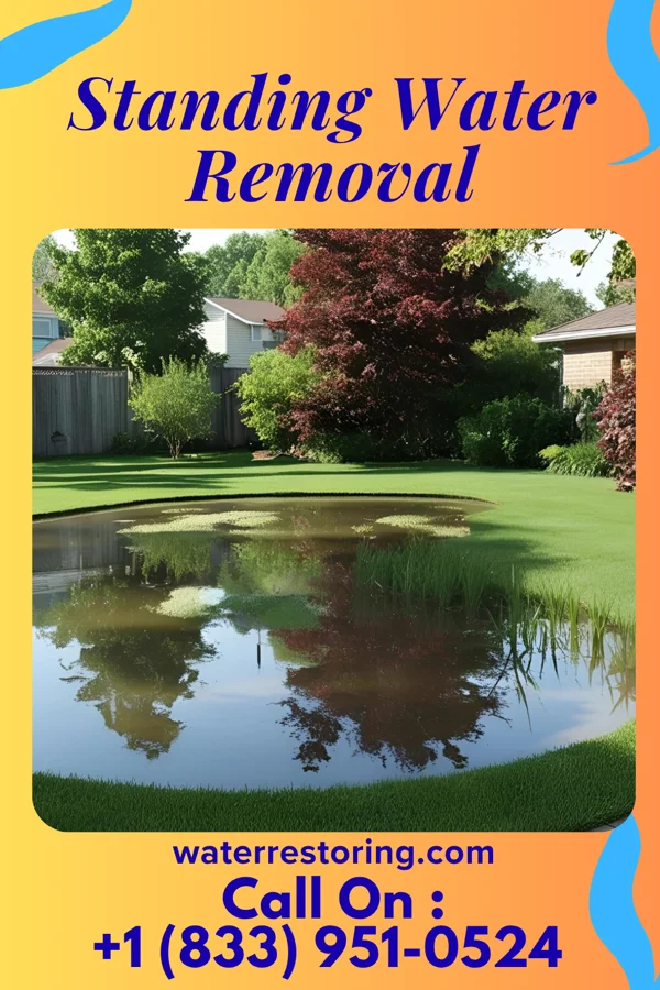Standing Water Removal in Stanley, ID